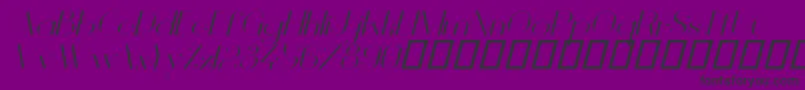 VanityLightWideItalic Font – Black Fonts on Purple Background