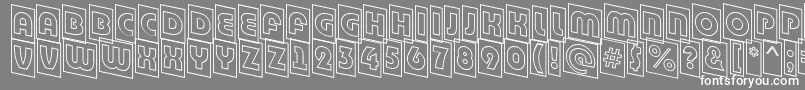 ABighaustitulcmdnotl Font – White Fonts on Gray Background