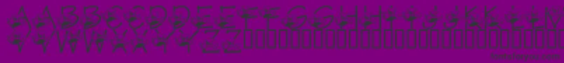 LmsTracisHighFlyingHubby Font – Black Fonts on Purple Background