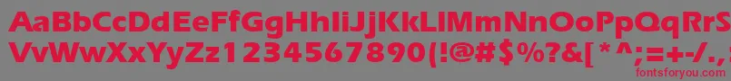 ErieBold Font – Red Fonts on Gray Background