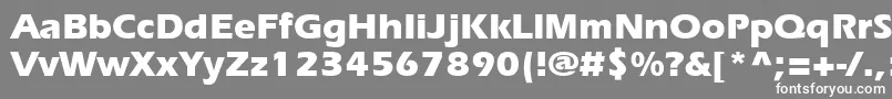 ErieBold Font – White Fonts on Gray Background