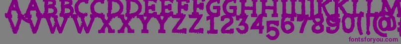 RiotTon Font – Purple Fonts on Gray Background