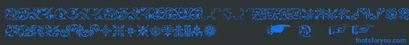 Baroqueornaments Font – Blue Fonts on Black Background