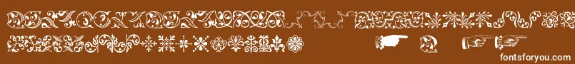 More about Baroqueornaments Font Baroqueornaments Font – White Fonts on Brown Background