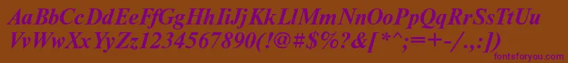 NewtonwincttBolditalic Font – Purple Fonts on Brown Background