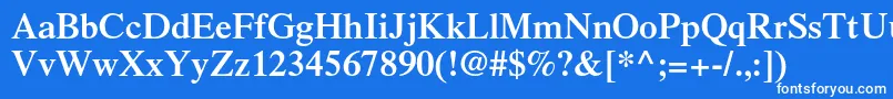 フォントTimesltstdSemibold – 青い背景に白い文字