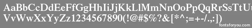 フォントTimesltstdSemibold – 灰色の背景に白い文字