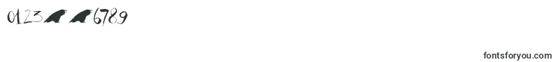 DkRavenheart Font – Fonts for Numbers and Digits