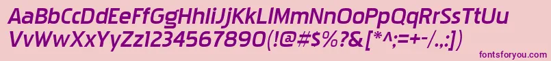 PakenhamxprgBolditalic Font – Purple Fonts on Pink Background