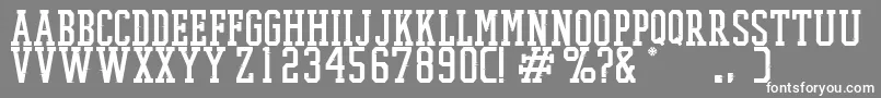 PromeshTwoFast Font – White Fonts on Gray Background