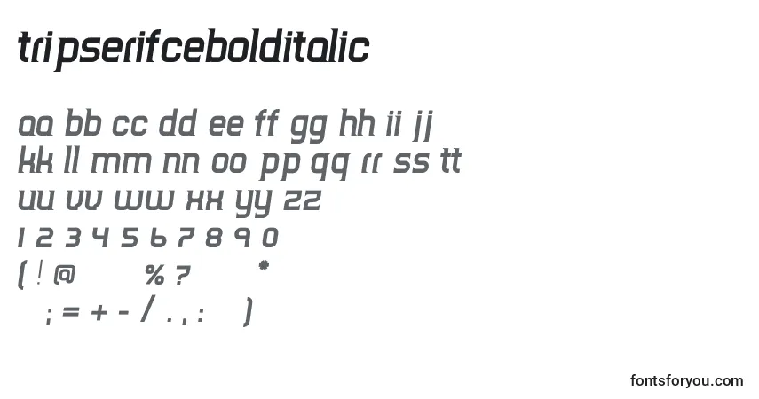 Czcionka TripserifceBolditalic – alfabet, cyfry, specjalne znaki