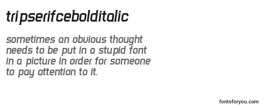 Review of the TripserifceBolditalic Font