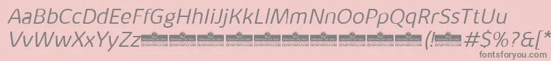 KabrioAlternateLightItalicTrial Font – Gray Fonts on Pink Background