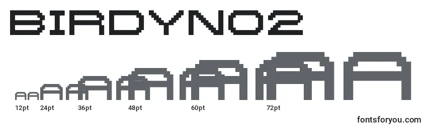 Размеры шрифта BirdyNo2
