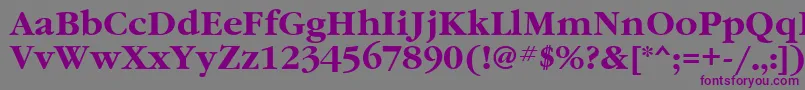 GaramondtttBold Font – Purple Fonts on Gray Background