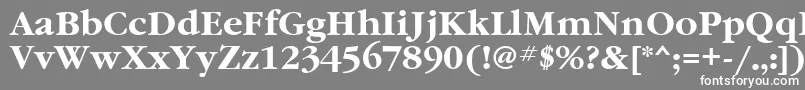 フォントGaramondtttBold – 灰色の背景に白い文字