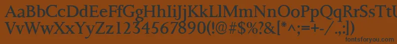 Ft8rRoman Font – Black Fonts on Brown Background