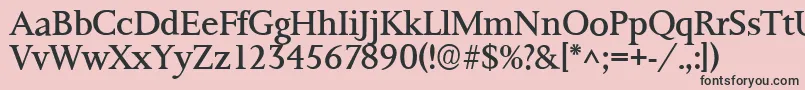 Ft8rRoman Font – Black Fonts on Pink Background