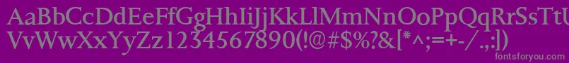 Ft8rRoman Font – Gray Fonts on Purple Background