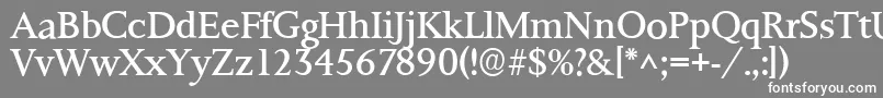 Ft8rRoman Font – White Fonts on Gray Background