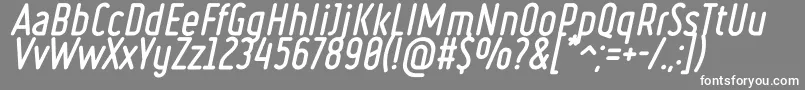 RulerVolumeFill Font – White Fonts on Gray Background