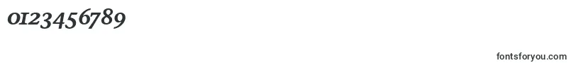StoneInfSemOsItcTtSemiita Font – Fonts for Numbers and Digits