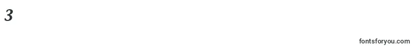 StoneInfSemOsItcTtSemiita Font – Fonts for Digit 3