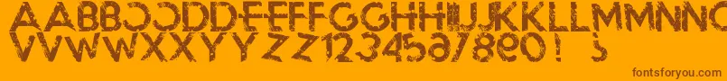 Blackoutmorning Font – Brown Fonts on Orange Background