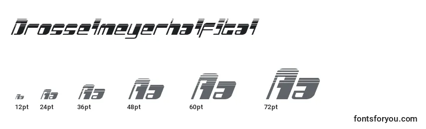 Drosselmeyerhalfital Font Sizes