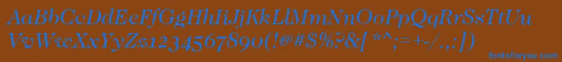 CaslonOsfBookitalic Font – Blue Fonts on Brown Background