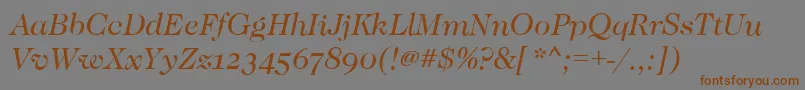 CaslonOsfBookitalic Font – Brown Fonts on Gray Background