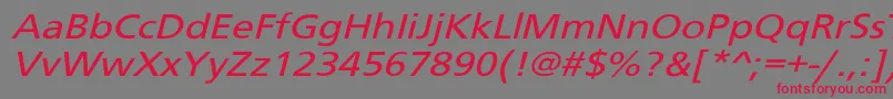Schranerextob2 Font – Red Fonts on Gray Background