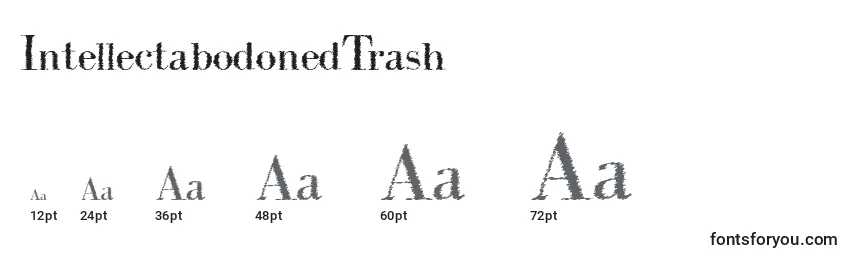 Размеры шрифта IntellectabodonedTrash