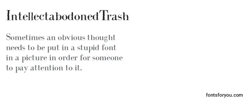 Review of the IntellectabodonedTrash Font