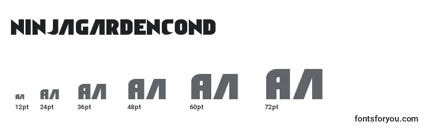 Размеры шрифта Ninjagardencond