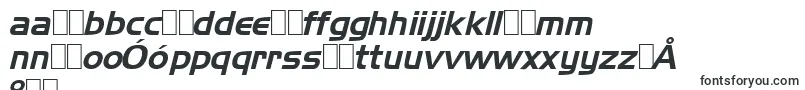 NewtownItalicフォントについての詳細 フォントNewtownItalic – ポーランドのフォント