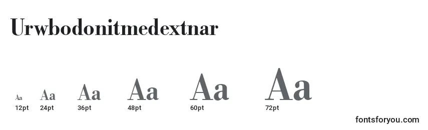 Размеры шрифта Urwbodonitmedextnar