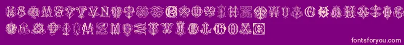 IntellectaMonogramsRandomSamplesThree Font – Pink Fonts on Purple Background