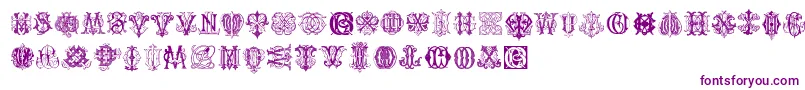 IntellectaMonogramsRandomSamplesThree Font – Purple Fonts on White Background
