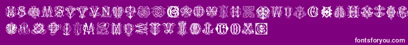 IntellectaMonogramsRandomSamplesThree Font – White Fonts on Purple Background