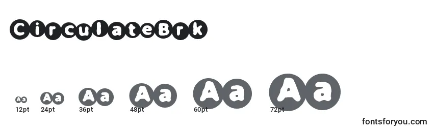 CirculateBrk Font Sizes