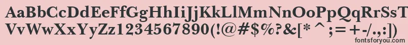 NewBaskervilleBoldBt Font – Black Fonts on Pink Background