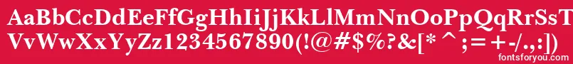 NewBaskervilleBoldBt Font – White Fonts on Red Background