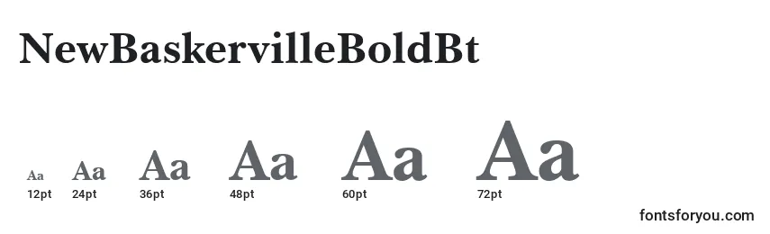 NewBaskervilleBoldBt Font Sizes