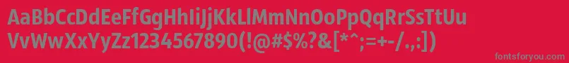 SansusWebissimo Font – Gray Fonts on Red Background