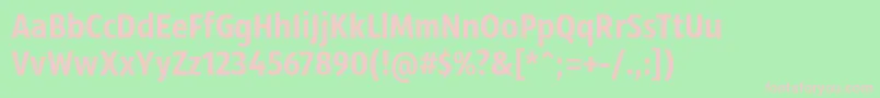 SansusWebissimo Font – Pink Fonts on Green Background
