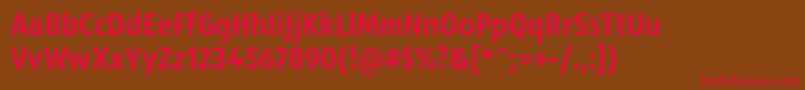 SansusWebissimo Font – Red Fonts on Brown Background