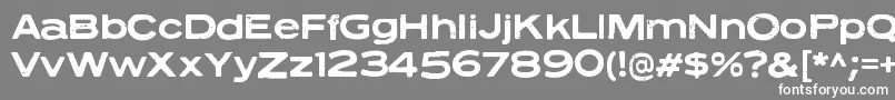 フォントNeuzonRegular – 灰色の背景に白い文字