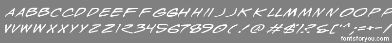 WyldStallynsExtended Font – White Fonts on Gray Background