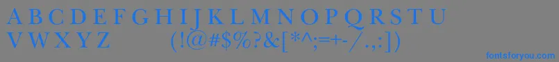 Newbaskervilleexpscc Font – Blue Fonts on Gray Background